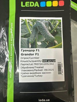 Огірок Grandor F1 / Грандор - 500 насінин 95859468 фото
