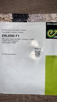 Огірок Erlend F1 / Ірленд F1 - 500 насінин erlendf1 фото
