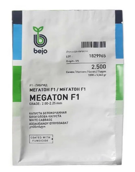 Капуста білокачанна Megaton F1 / Мегатон F1 - 2500 насінин 2421 фото