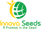 Innova Seeds