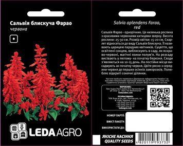 ФАРАО, САЛЬВІЯ БЛИСКУЧА ЧЕРВОНА 0,05 Г АгроСвіт || PHARAOH, SALVIA SHINY RED 0.05 G AgroSvit 2060 фото