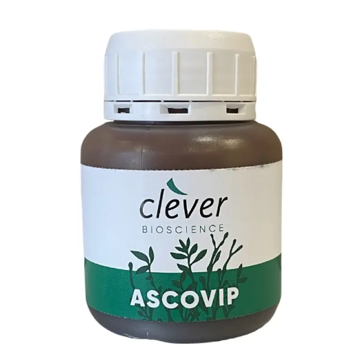 Clever Ascovip / Клевер Асковіп &mdash; 100 мл, Регулятор росту 2270 фото