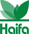 Haifa